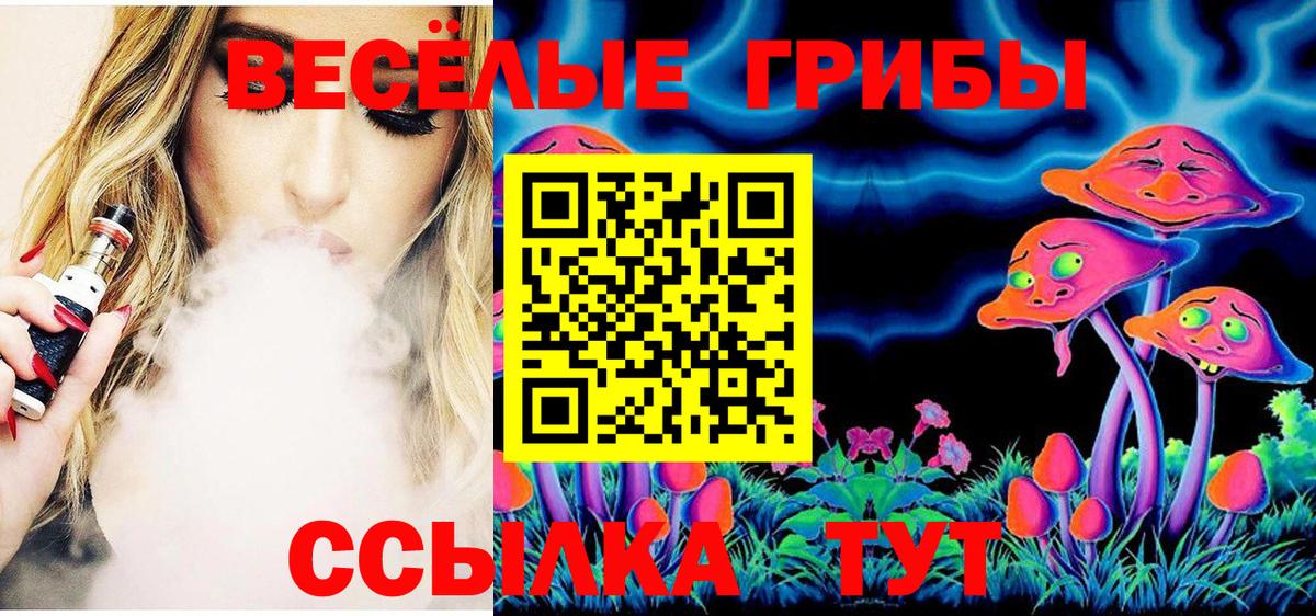 Заречный  Галлюциногенные грибы GOLDEN TEACHER  Вход с VPN  Галлюциногенные грибы Cubensis 